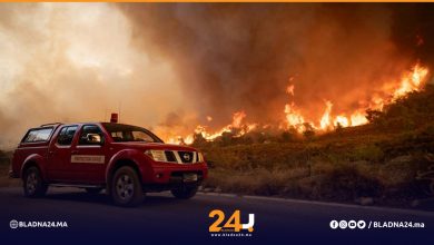 حريق غابة تازة يُعيد إلى الواجهة سؤال الإمكانات المعبأة لمواجهة حرائق الصيف