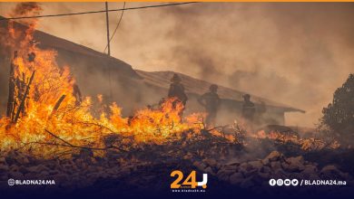 تطويق حريق غابة "المبيكا" بمدينة العرائش